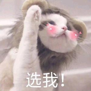 911柚子猫盛世容颜小僵尸

